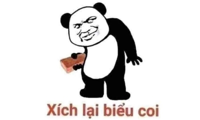 50+ Meme gấu trúc bựa, hài hước, cute, gấu trúc troll face